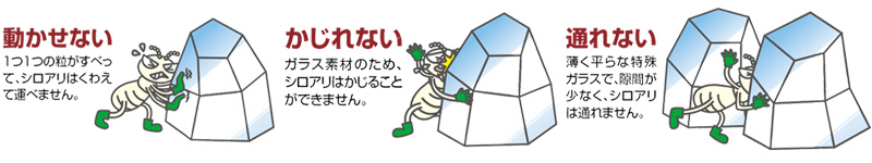 A_NX^H@AVA΍