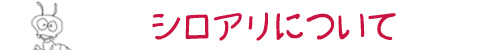 VAɂ